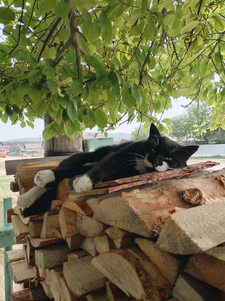 Photograph by Наталья