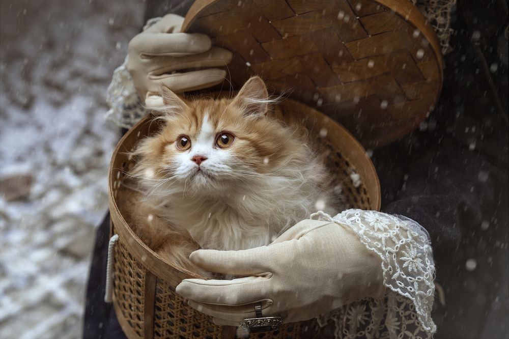 Photograph by Екатерина Вишневская