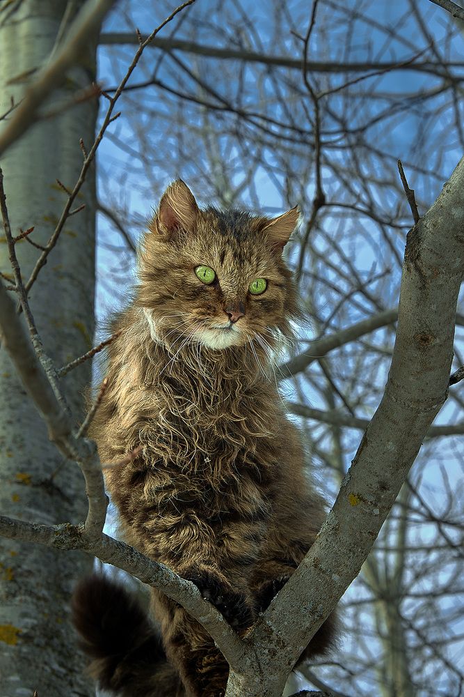 Photograph by Кузьмина Марина