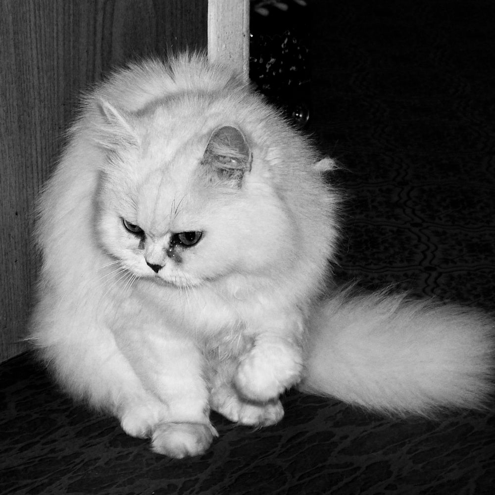 Photograph by Сергей Рудаков