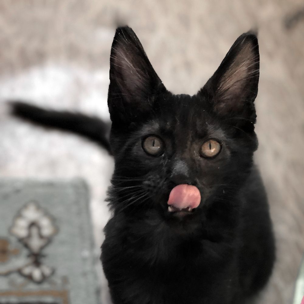 Photograph by Сергей Рудаков