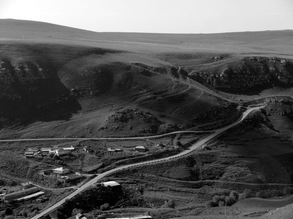 Photo #10806632