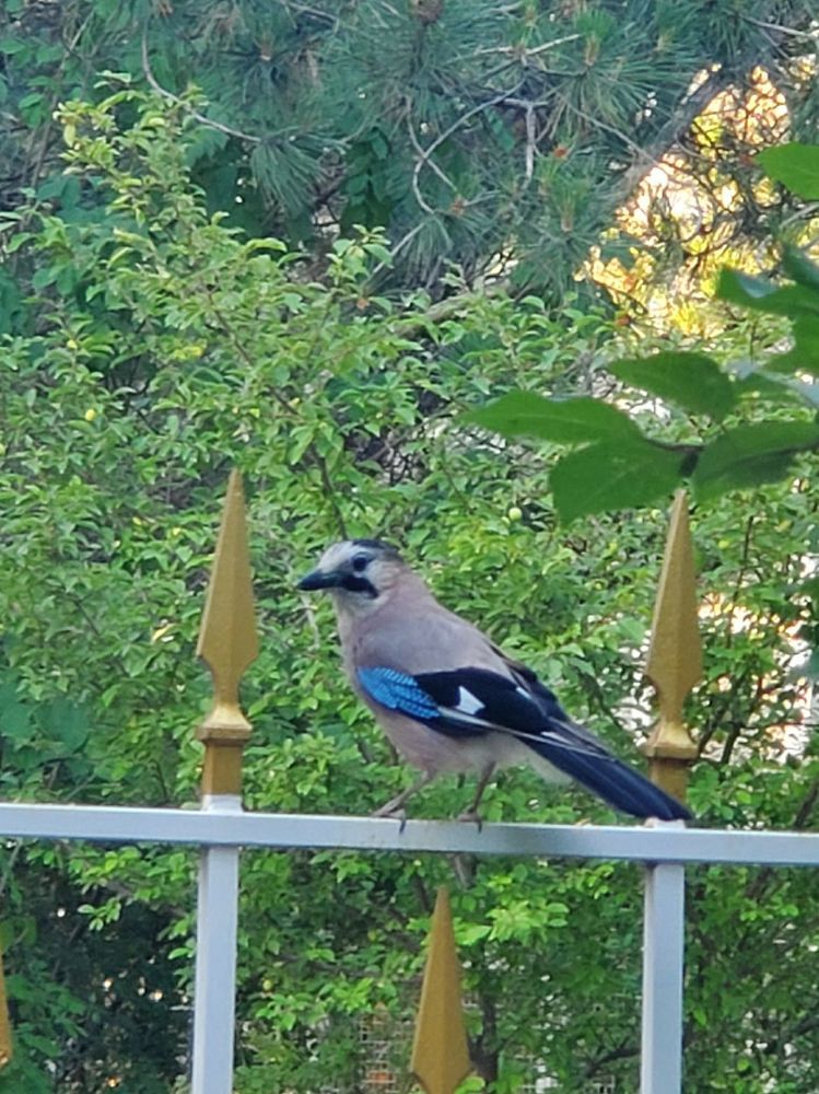 Photograph by Антон