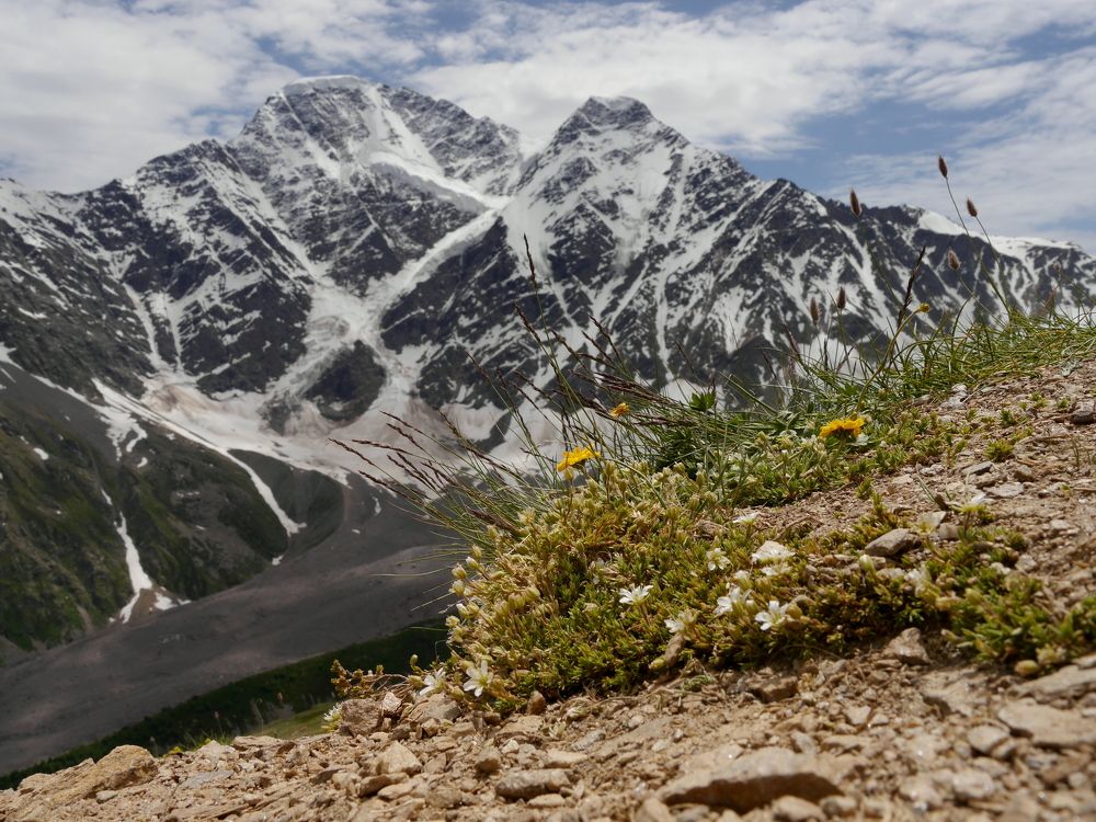 Photo #10806679