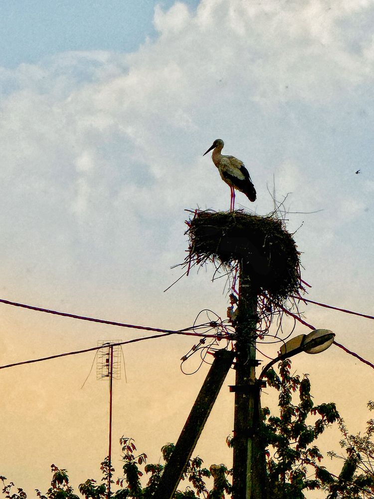 Photograph by Zhanna Kolesnikova