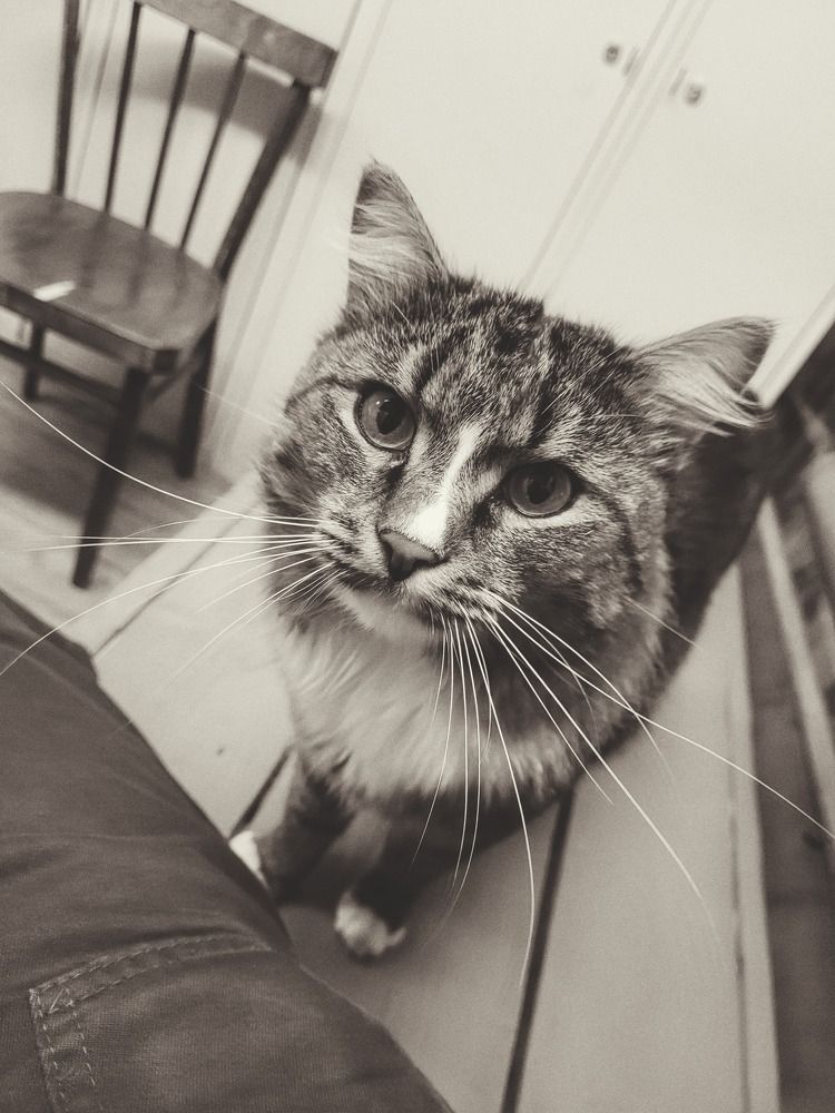 Photograph by Адель Латыпов