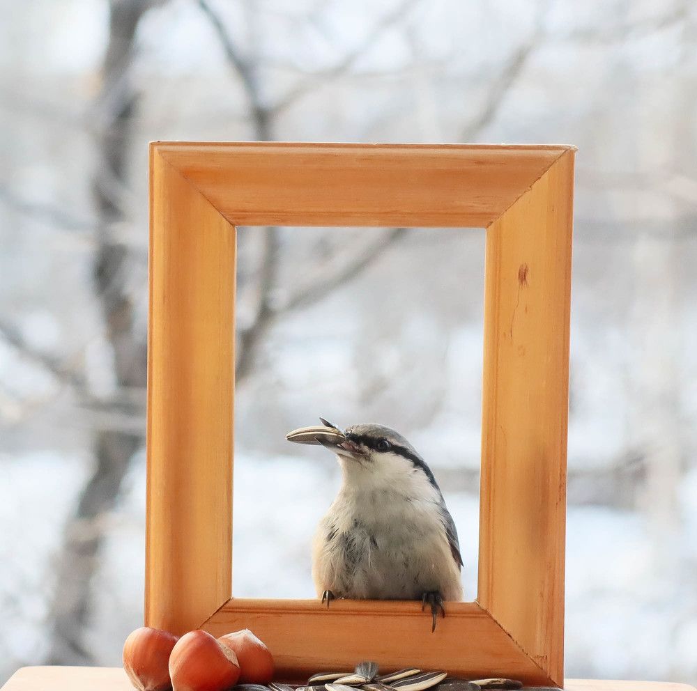 Photograph by Денис Гайдуков