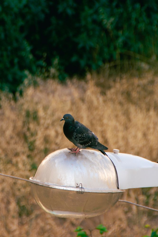 Photograph by Таисия Федотова