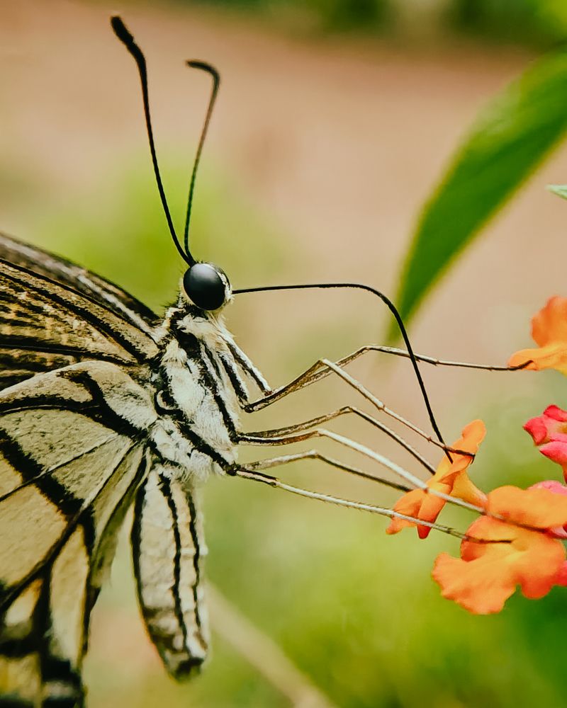 Photograph by ALPHY KR