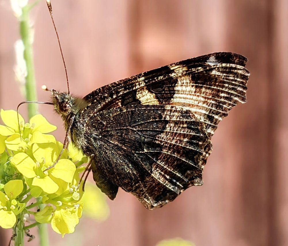 Photograph by Юрий Полушин