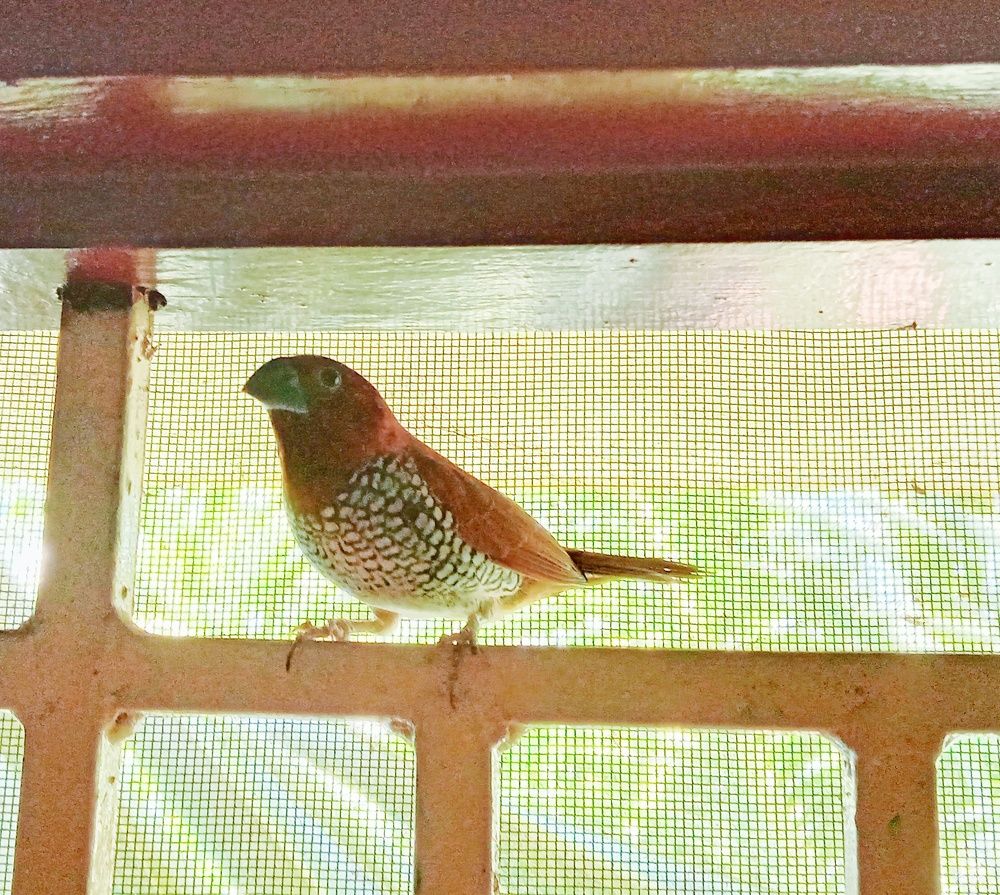 Фотография автора Pioneer Pixel