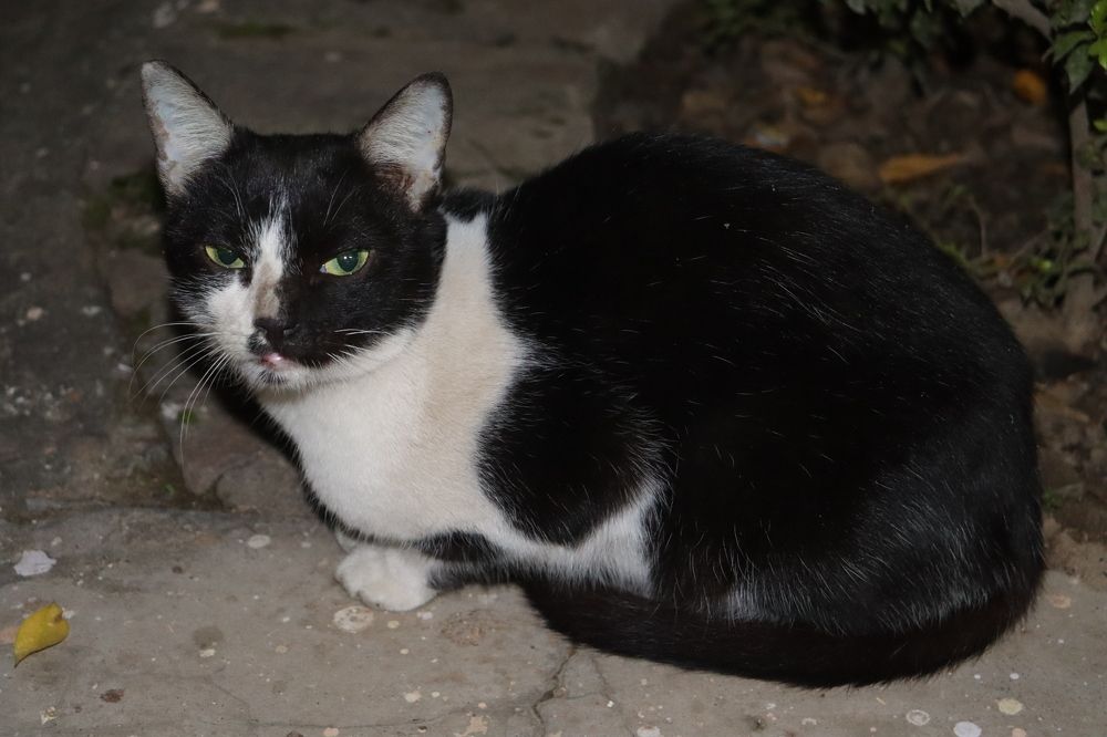 Photograph by Sandy Daniel