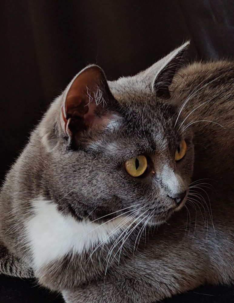 Photograph by Татьяна Гулакова