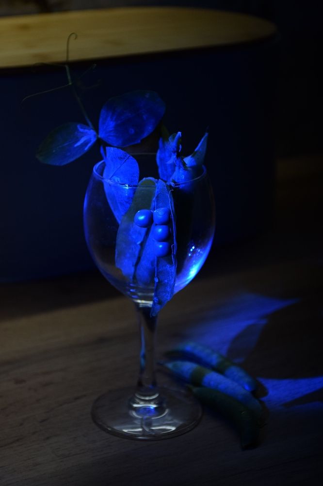 Photograph by Наталия Самкина