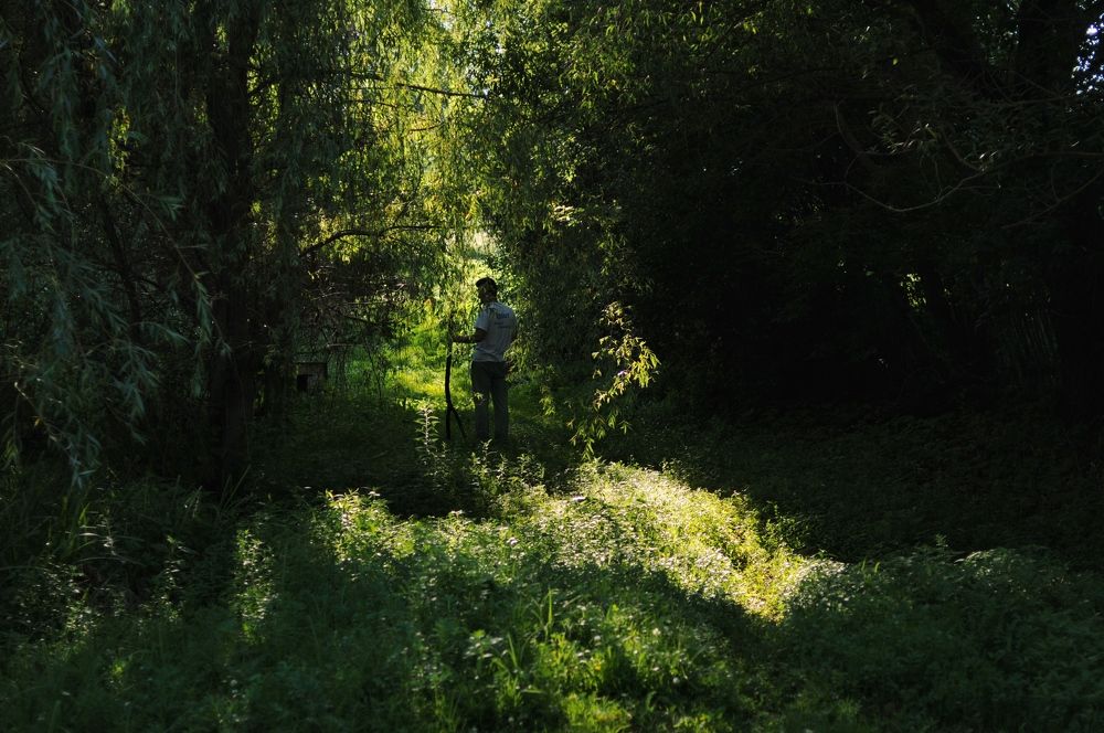 Photograph by Виктория Горельченко