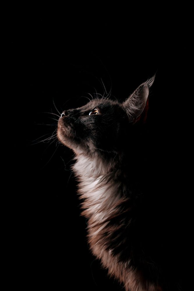 Photograph by Екатерина Воеводская