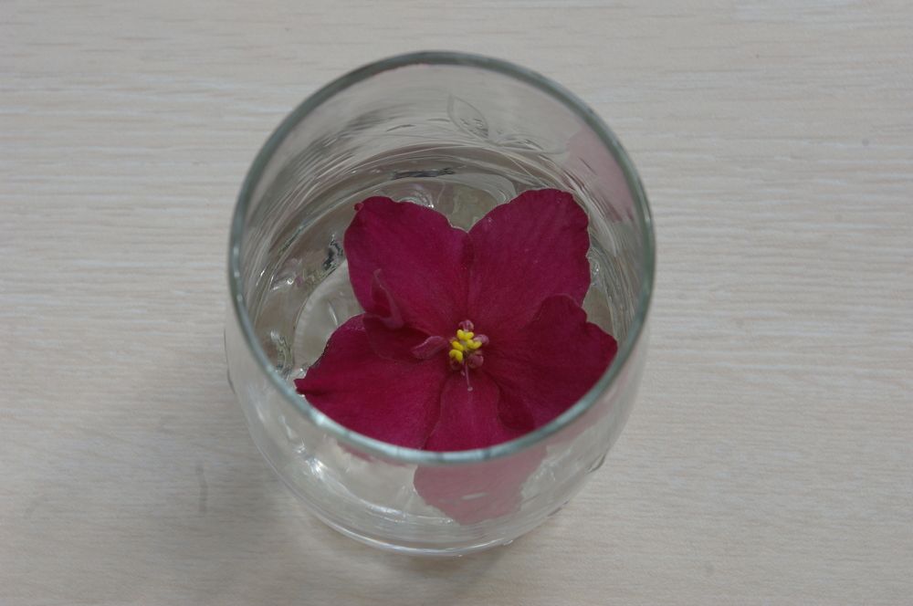 Photograph by Елена Алешкевич