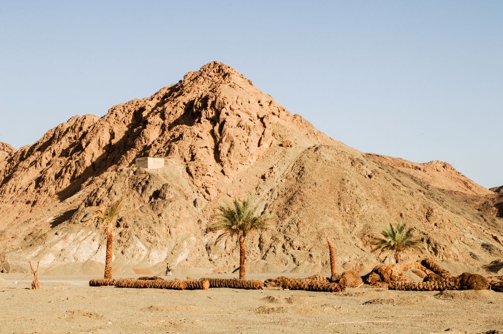 Фотография автора Chorche Prigo