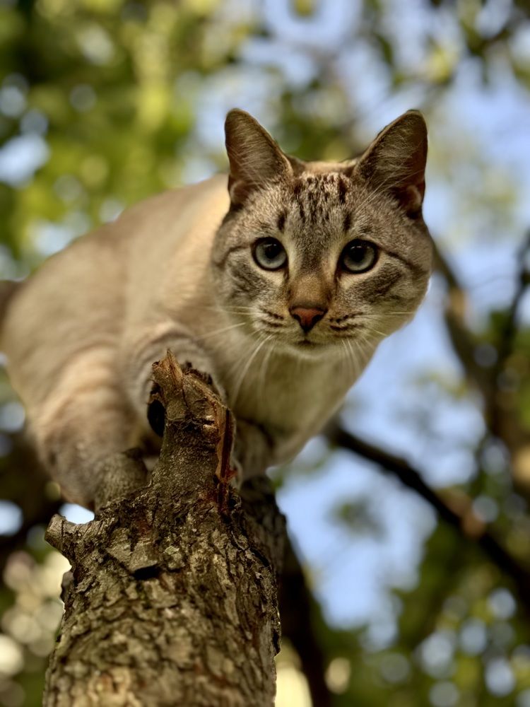 Photograph by Елена Карпухно