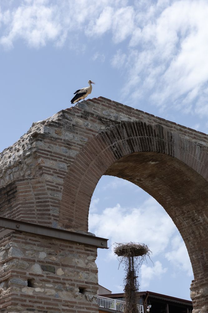 Photograph by Olga Min