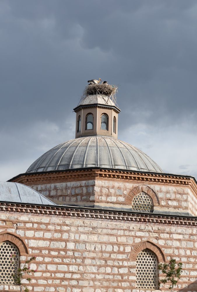 Photograph by Olga Min