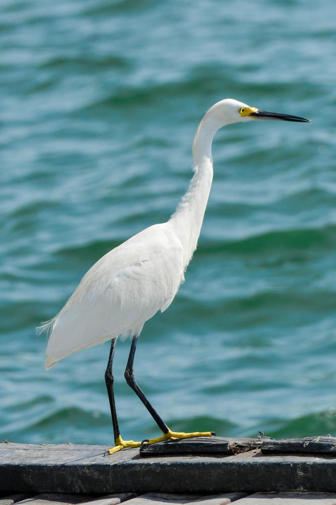 Photograph by Luis Alfredo Morales Torres