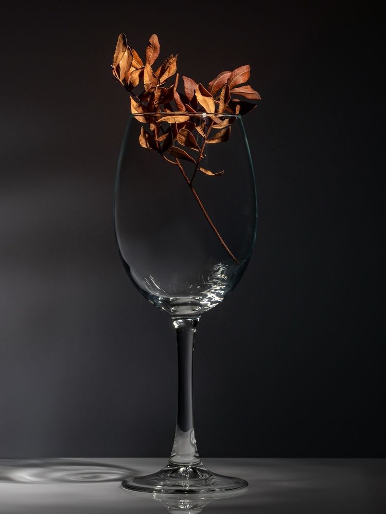 Photograph by Павлович Анатолий