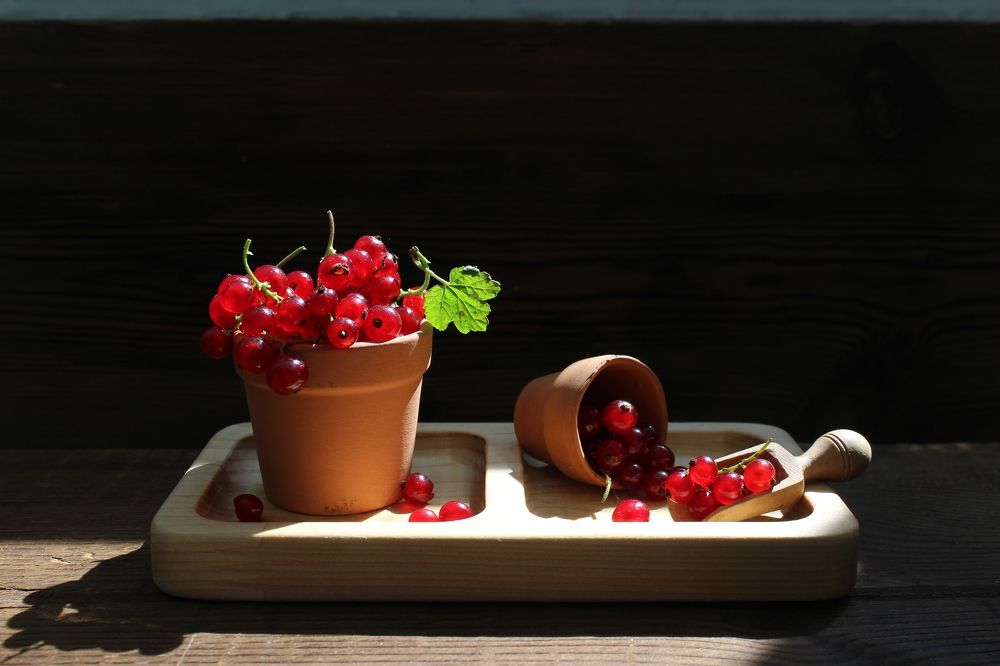 Photograph by Сироткина Нина