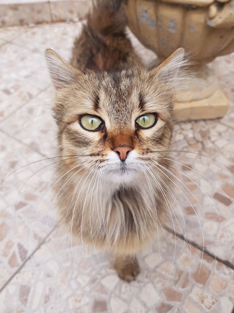 Photograph by Ирина Рудь