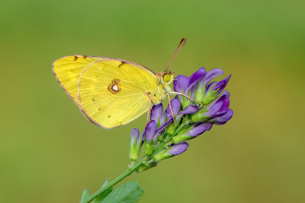 Photograph by Eren Aksoylu