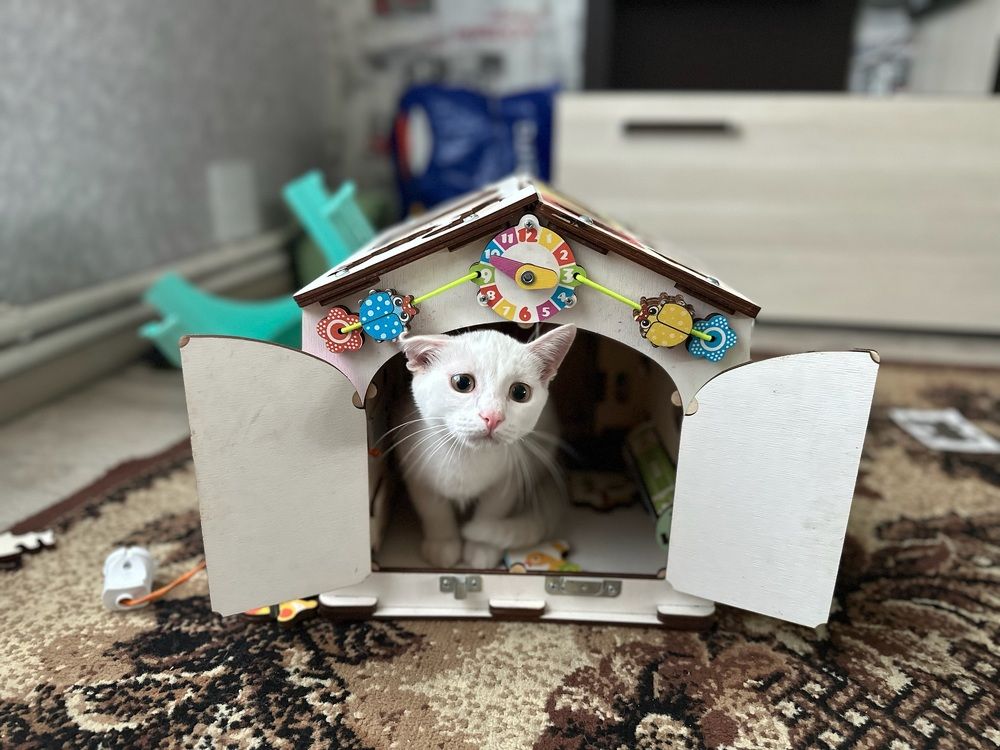 Photograph by Вадим Быстрыкин