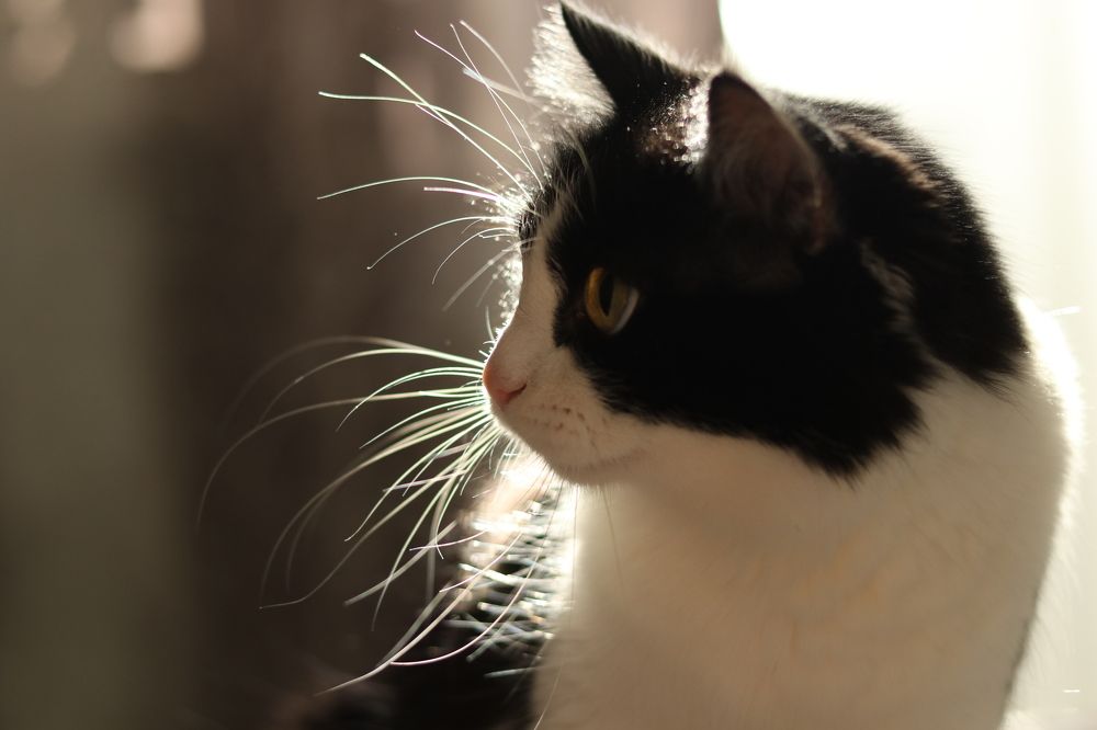 Photograph by Марина Савченко