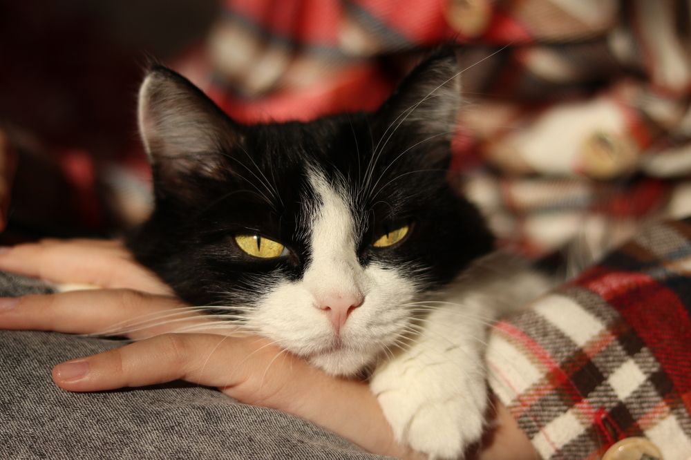 Photograph by Марина Савченко