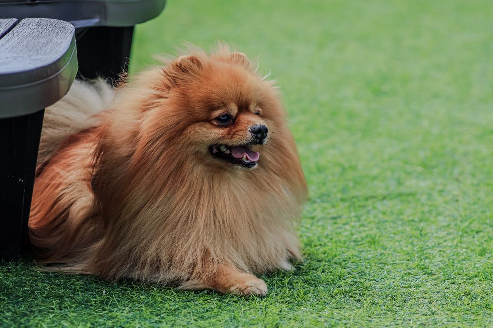 Photograph by Елена Квасова