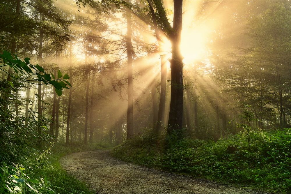 Photograph by Wymann Elena