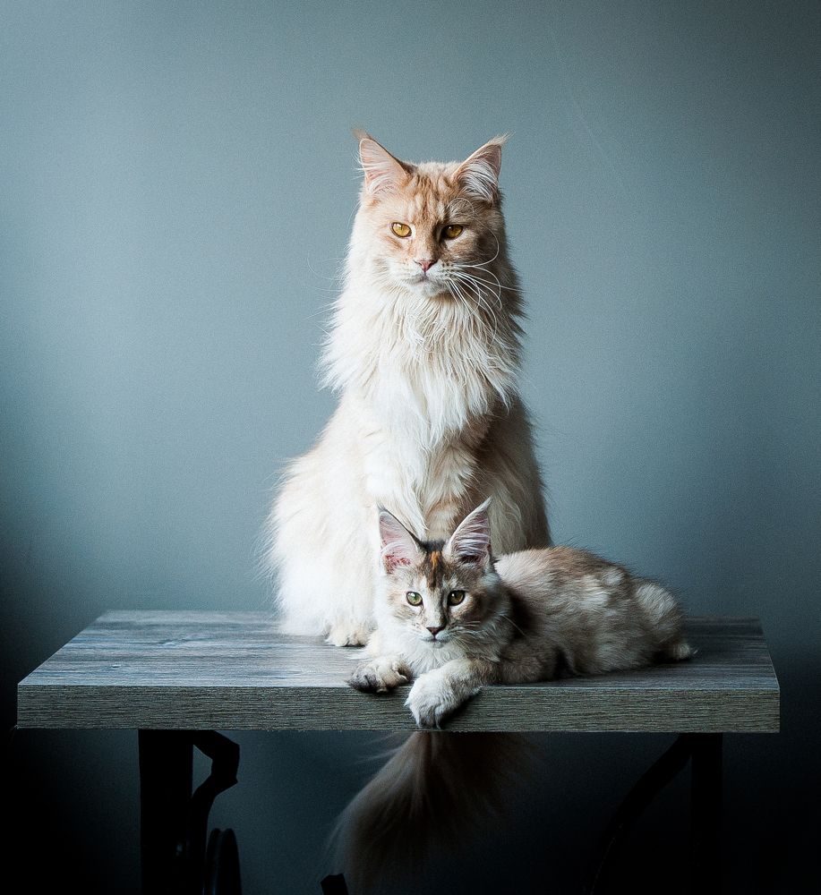 Photograph by Ирина Логовская