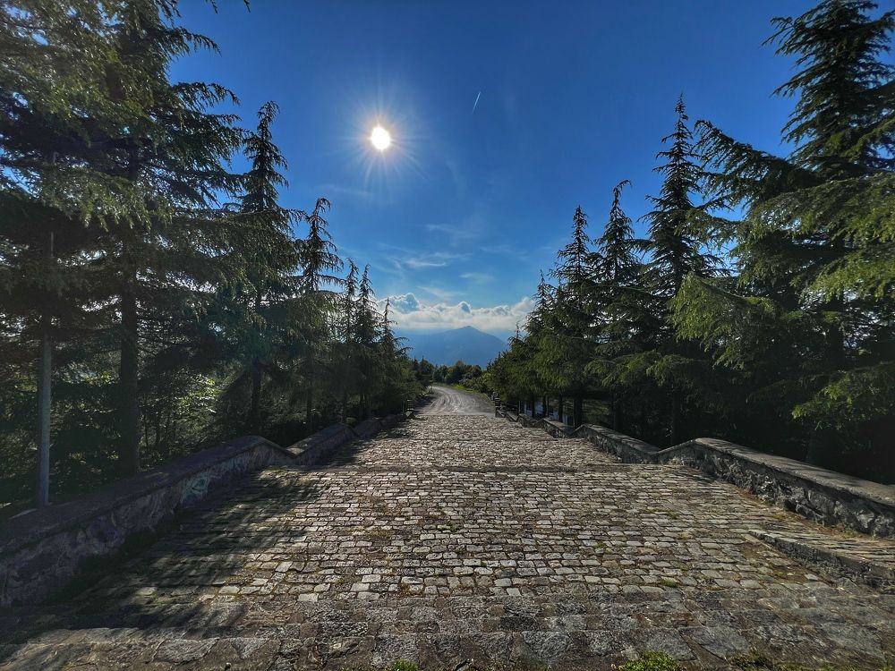 Photograph by Subash