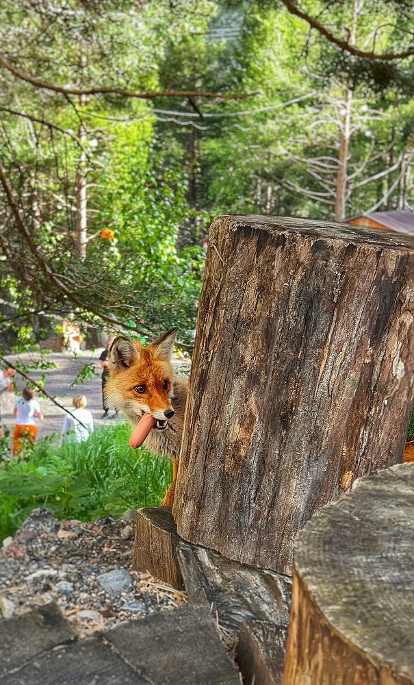 Photograph by Валерия