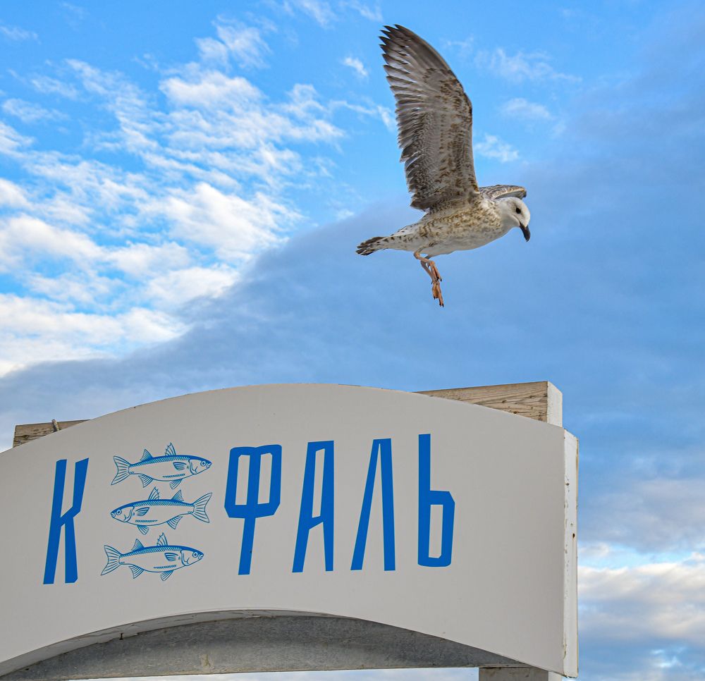 Photograph by Валерия