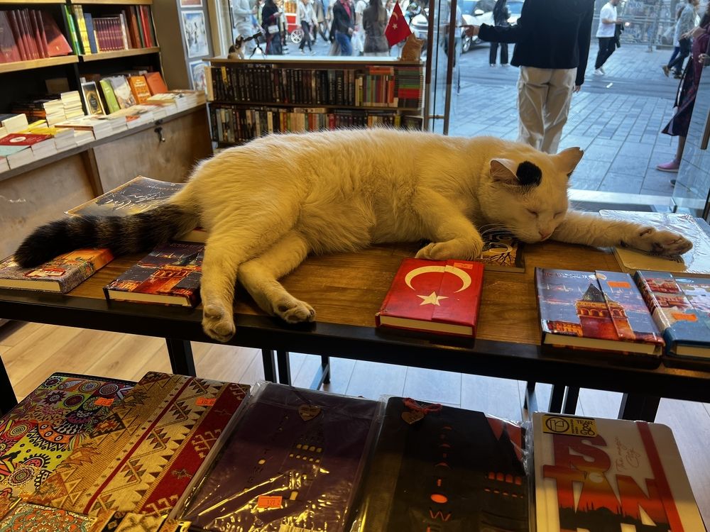 Photograph by Subash