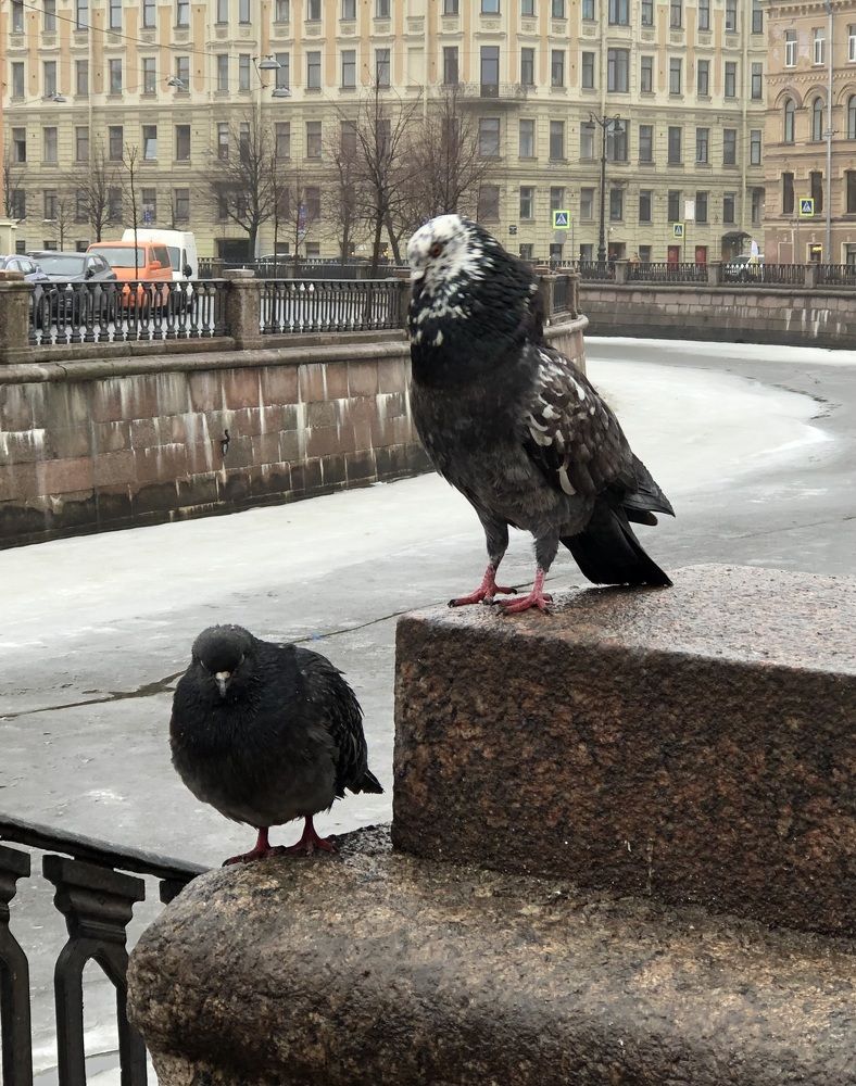 Photograph by Мария Бессмертная