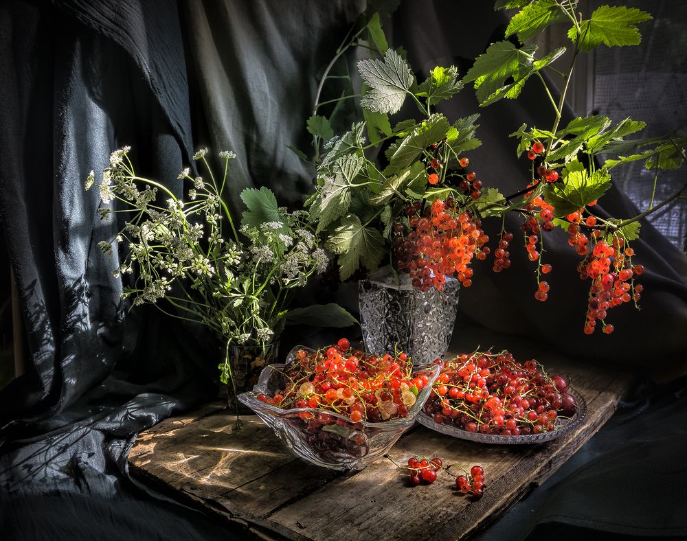 Фотография автора Milena Ivanova