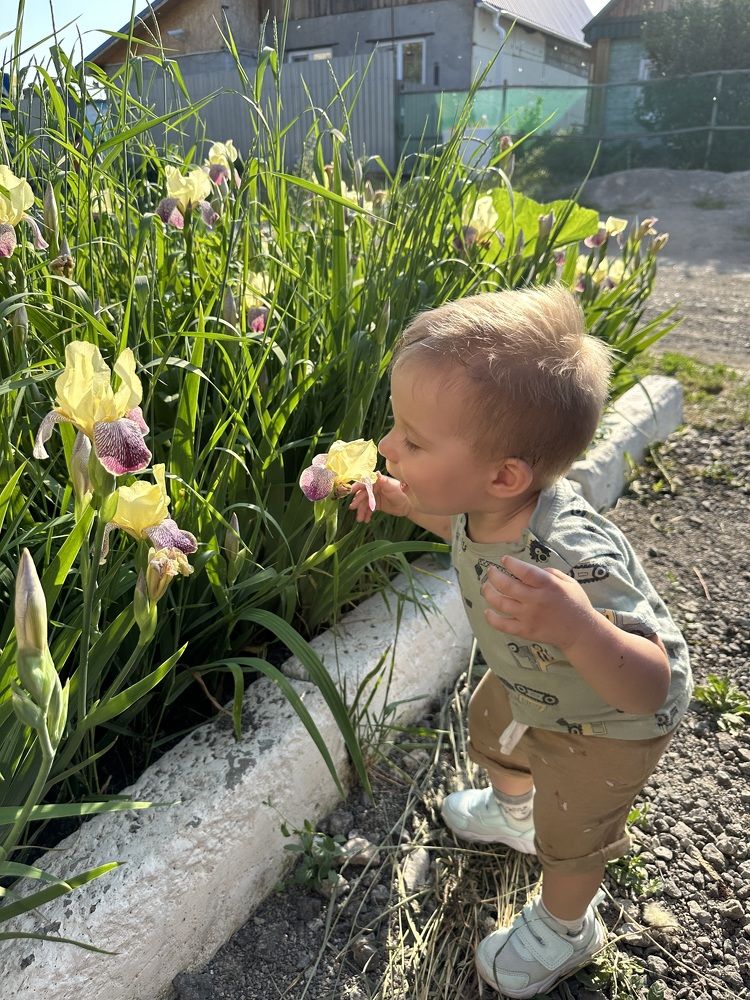 Photograph by Вадим Быстрыкин