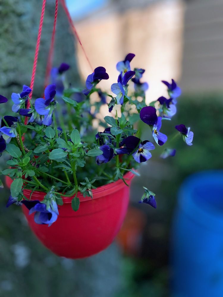 Фотография автора Raisa Sel