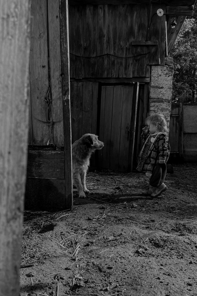 Photo #10807525