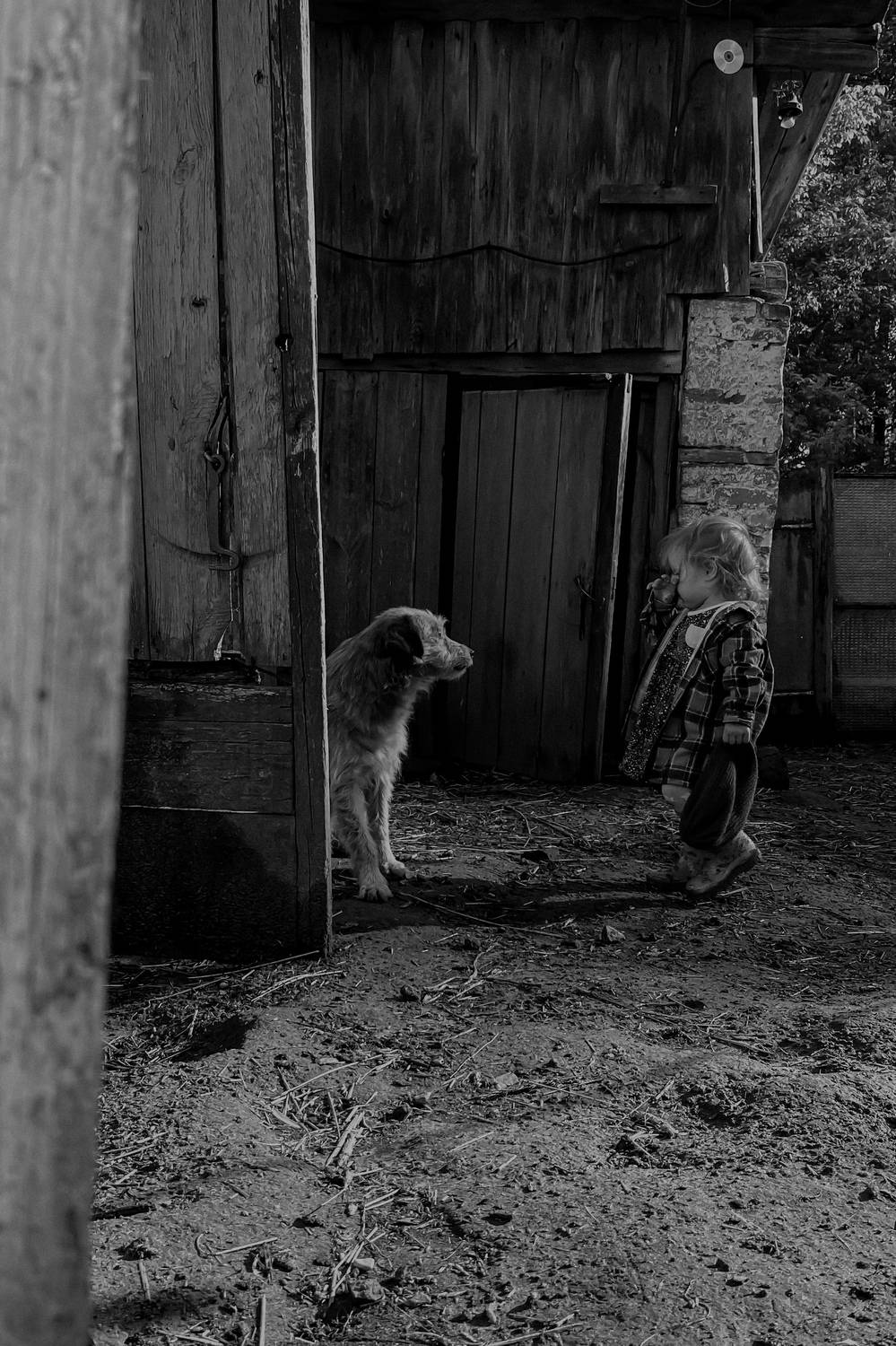 Photo #10807525
