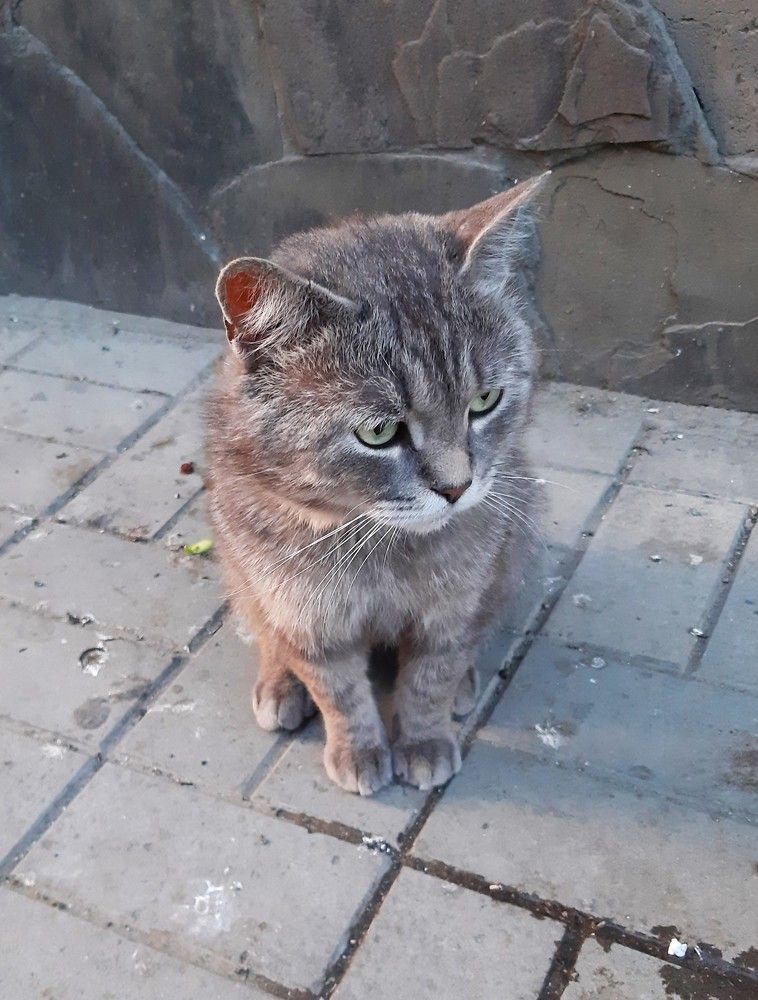 Photograph by Галина Глазкова