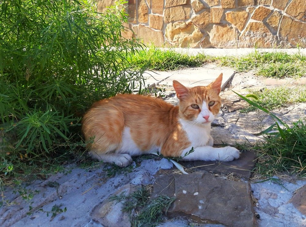 Photograph by Галина Глазкова