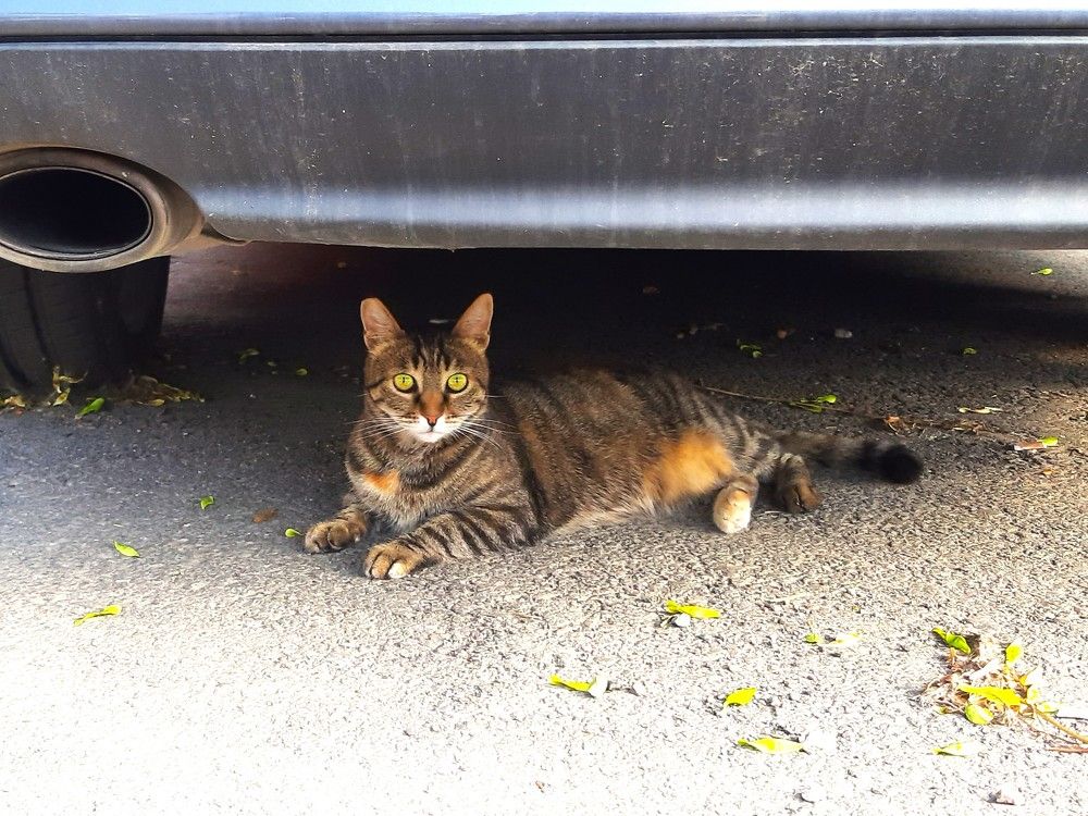 Photograph by Галина Глазкова