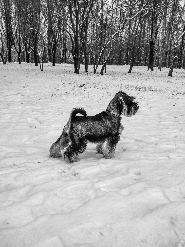 Photograph by Ольга